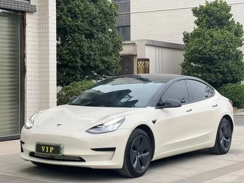 Tesla Model 3 2019