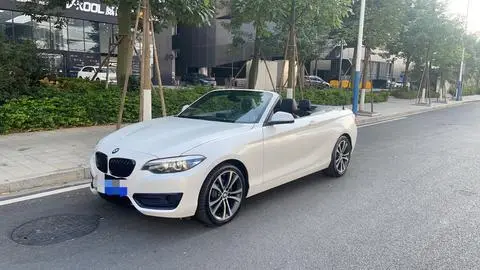 BMW 2 Series 2019