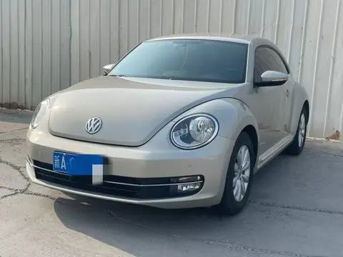 Volkswagen 甲壳虫 2013