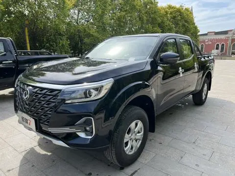Dongfeng 锐骐7 2023