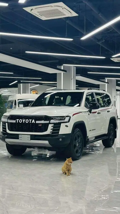 Toyota 兰德酷路泽 2024