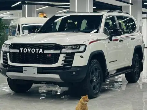 Toyota 兰德酷路泽 2024