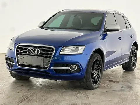 Audi SQ5 2017