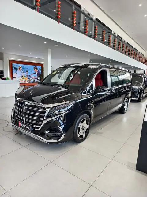Mercedes-Benz 威霆 2024