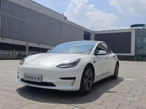 Tesla Model 3 2021