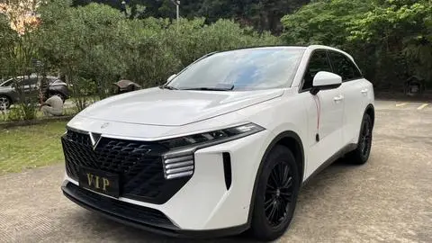 Venucia 大V 2022