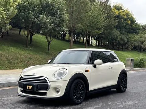 MINI MINI 2014