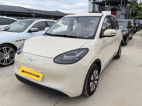 Wuling Bingo 2025