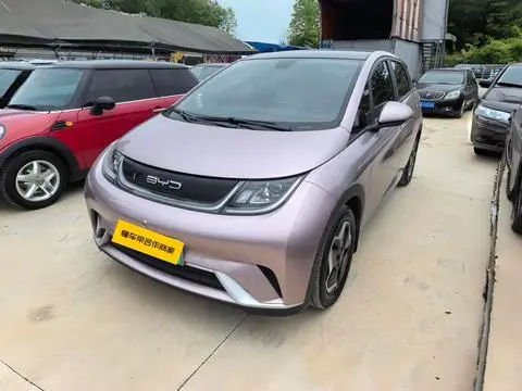 BYD Dolphin 2021