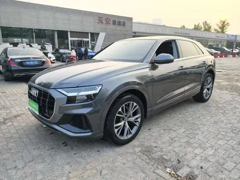 Audi Q8 2019