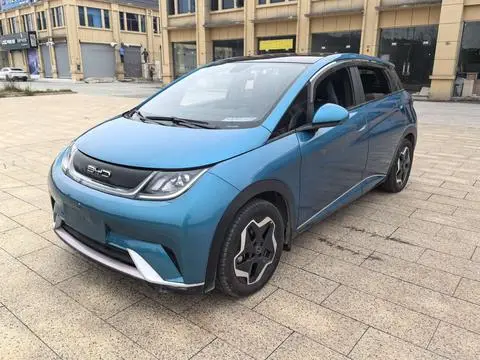 BYD Dolphin 2021