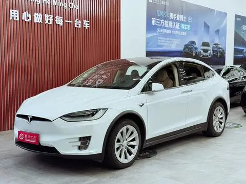 Tesla Model X 2016 — фото 1
