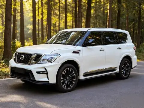 Nissan Patrol 2018 — фото 1