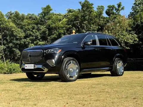 Mercedes-Benz GLS 2020 — фото 1