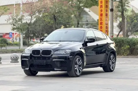 BMW X6 M 2010