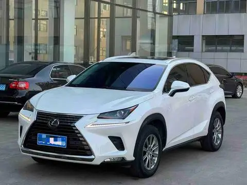 Lexus NX 2020 — фото 1