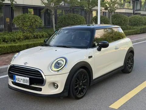 MINI MINI 2019