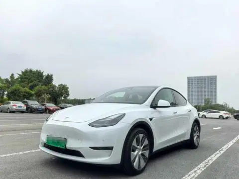 Tesla Model Y 2021