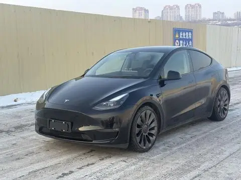 Tesla Model Y 2021