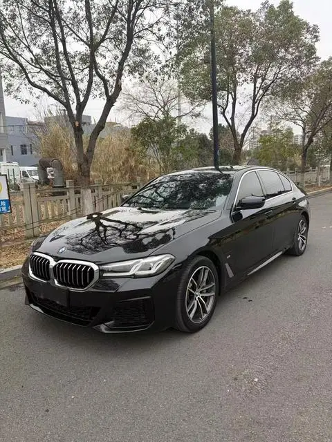 BMW 5 Series PHEV 2022 — фото 1