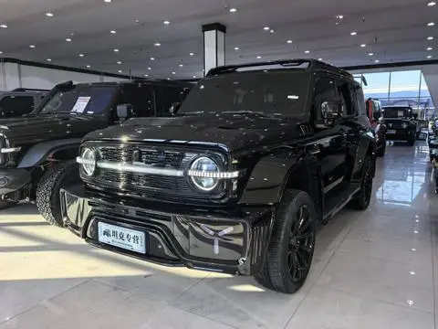 TANK 赛博坦克300 2023
