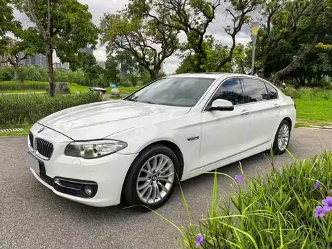 BMW 5 Series 2014