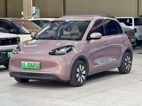 Wuling Bingo 2023