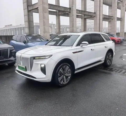 Hongqi E-HS9 2020
