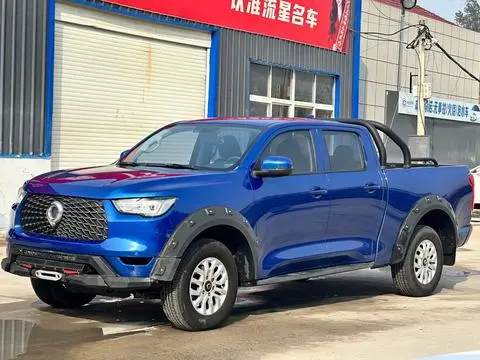 Great Wall 炮 2020