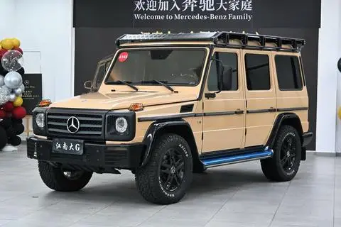 Mercedes-Benz G-Class 2010 — фото 1