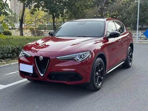 Alfa Romeo Stelvio斯坦维 2017