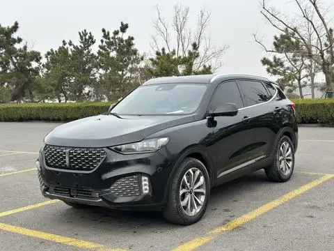 Wey VV6 2020