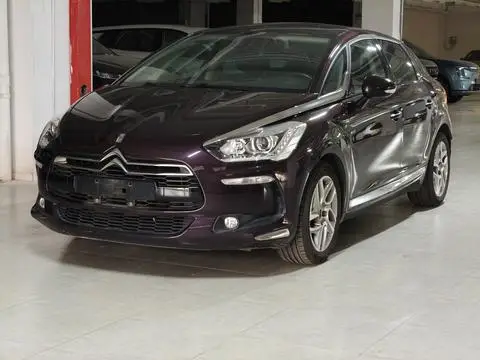 DS 5 2014