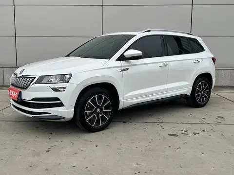 Skoda 柯珞克 2024