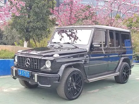 Mercedes-Benz G-Class 2010