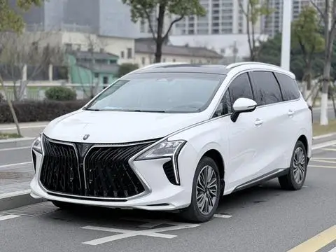 Forthing 风行游艇 2022