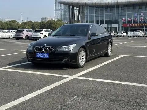 BMW 5 Series 2010