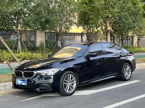 BMW 5 Series 2019