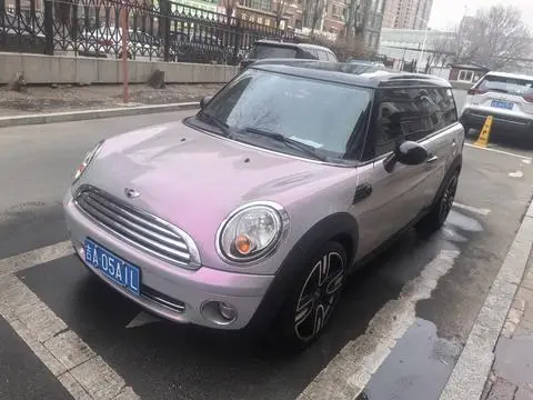 MINI MINI 2010