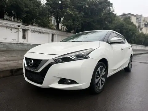 Nissan 蓝鸟 2019