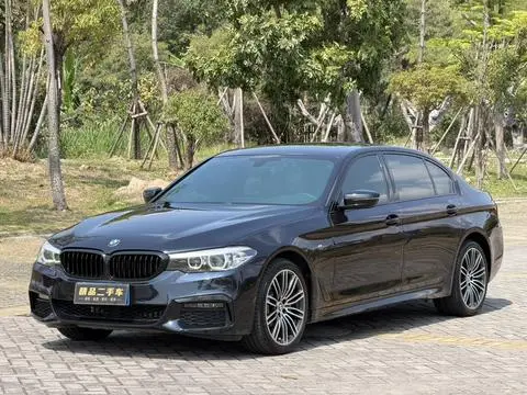 BMW 5 Series 2019