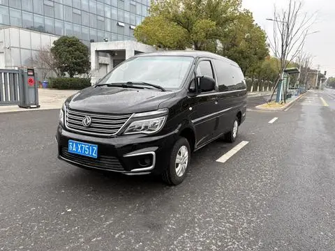 Forthing Lingzhi 2020