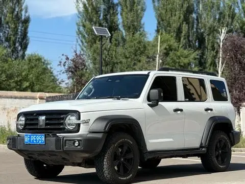 TANK 300 2024