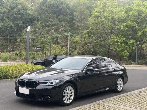 BMW 5 Series 2013