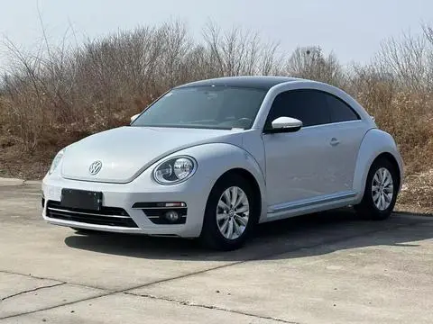 Volkswagen 甲壳虫 2018