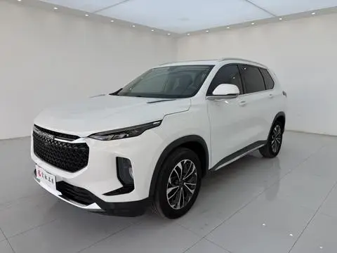 Maxus D60 2019
