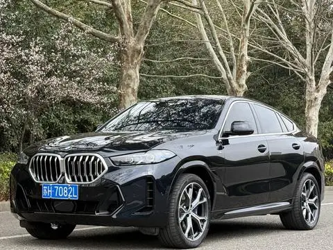 BMW X6 2023