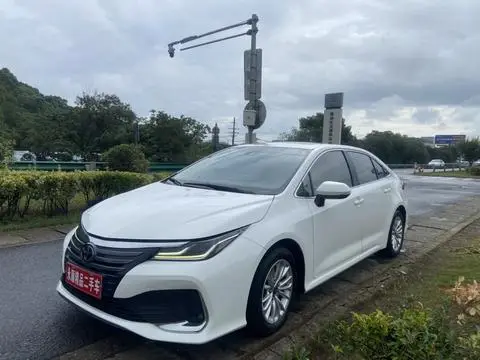Toyota 亚洲狮 2022