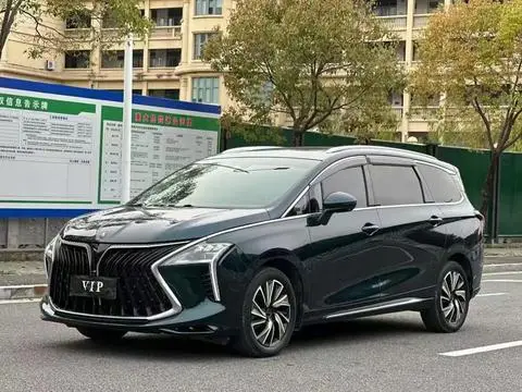 Forthing 风行游艇 2022