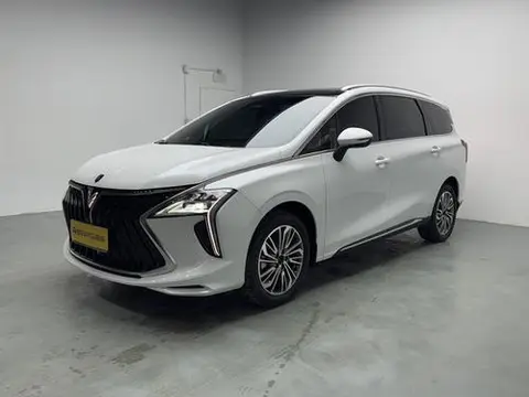 Forthing 风行游艇 2024